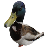 FLUGSACHEN.DE